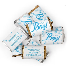 204 Pcs It's A Boy Bubbles Themed Hershey's Miniatures and Chocolate Balls (3.24lb)