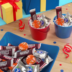 Hershey's Zero Sugar Assorted Bag Candy - 15.5oz
