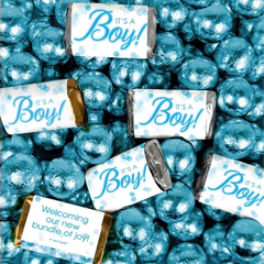 204 Pcs It's A Boy Bubbles Themed Hershey's Miniatures and Chocolate Balls (3.24lb)